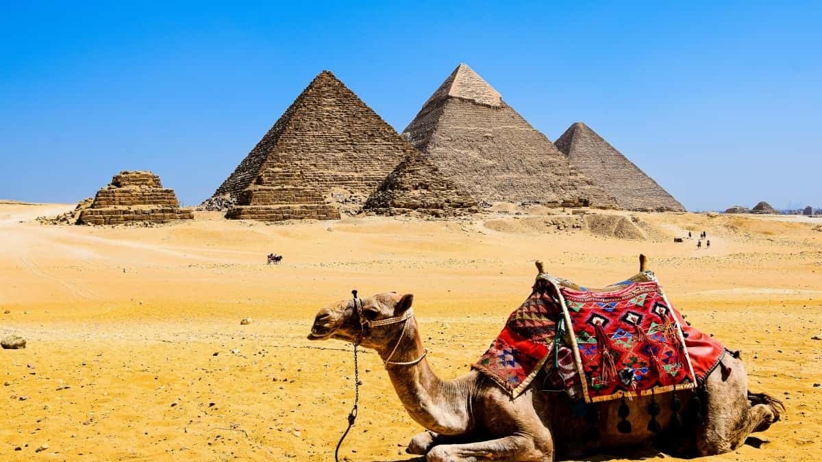 Creadores en España: Cómo conectar con marcas de Mongolia en OnlyFans para promover hábitos saludables