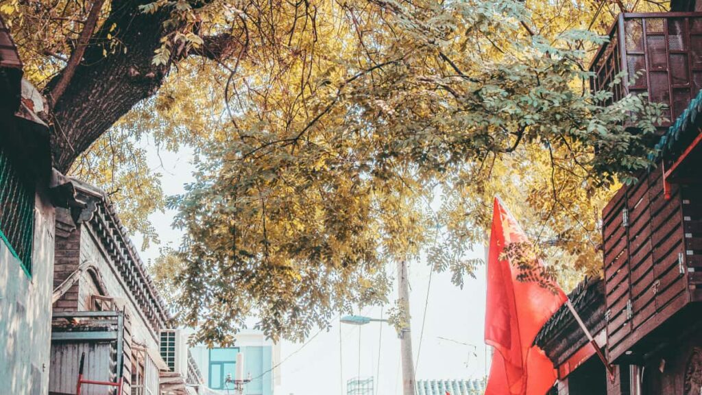 Descubre como localizar creadores portugueses en Spotify para campanas de product seeding con bloggers de belleza.
