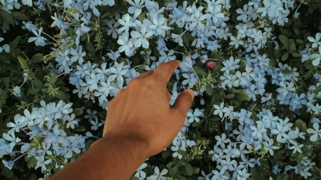 Guia practica para creadores en Espana: como localizar, conectar y negociar con marcas de Nepal via WeChat para escribir reviews largas y efectivas.