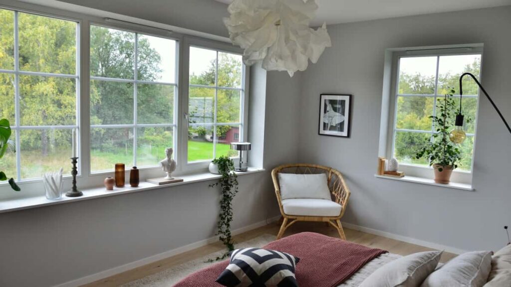 Guia practica para creators en Espana que quieren conectar con marcas neozelandesas via WhatsApp y lanzar campanas de habitos saludables entre sus seguidores.