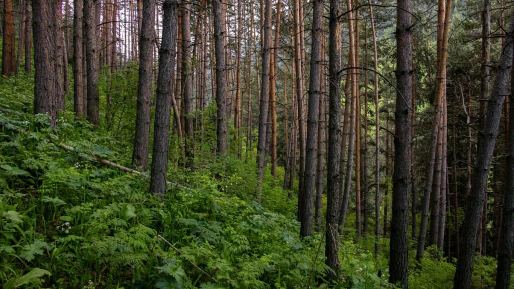 Guia practica para creadores en Espana: como identificar, acercarte y convertir marcas de Panama en acuerdos duraderos en Bilibili, con tacticas, ejemplos y recursos.