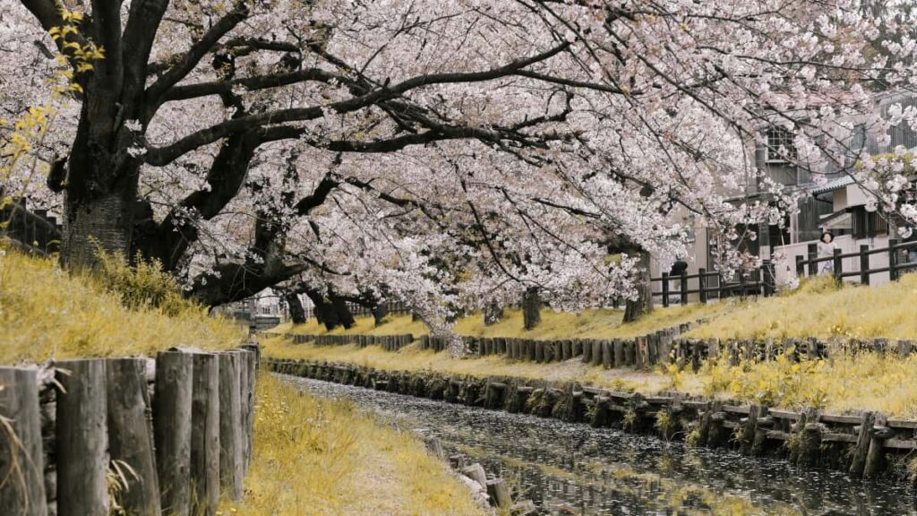 Guia practica para marcas en Espana que quieren localizar creadores en Kuaishou (Camboya), aprovechar nuevas herramientas AI como Kling y maximizar chances de viralidad.