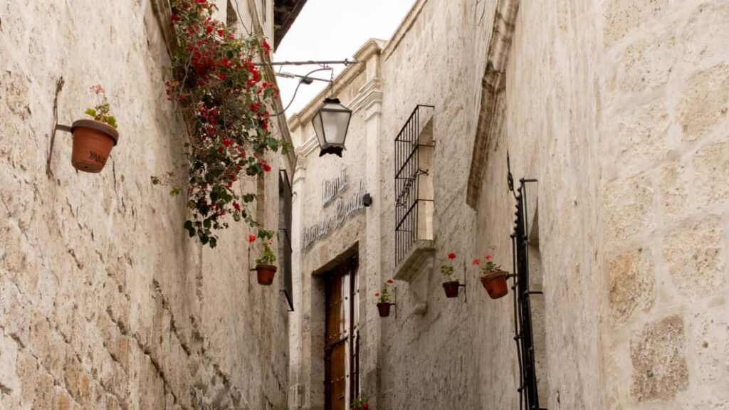 Guia practica para creadores en Espana que quieren llegar a marcas de India via Telegram y entrar en lanzamientos beta exclusivos.