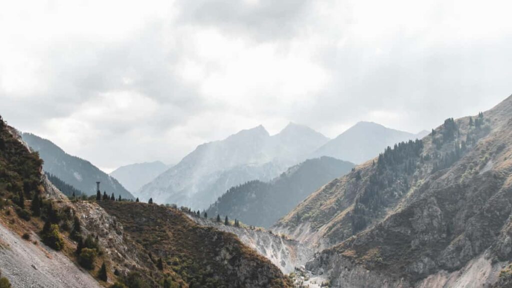 Guia practica para creadores en Espana: como localizar y convencer a marcas de Tanzania en Roposo para hacer videos de unboxing, con tacticas, ejemplos y recursos.