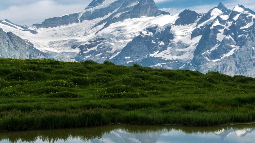 Guia practica para anunciantes en Espana: como localizar, evaluar y contactar creadores suecos en Telegram para colaborar en vlogs de eventos reales.