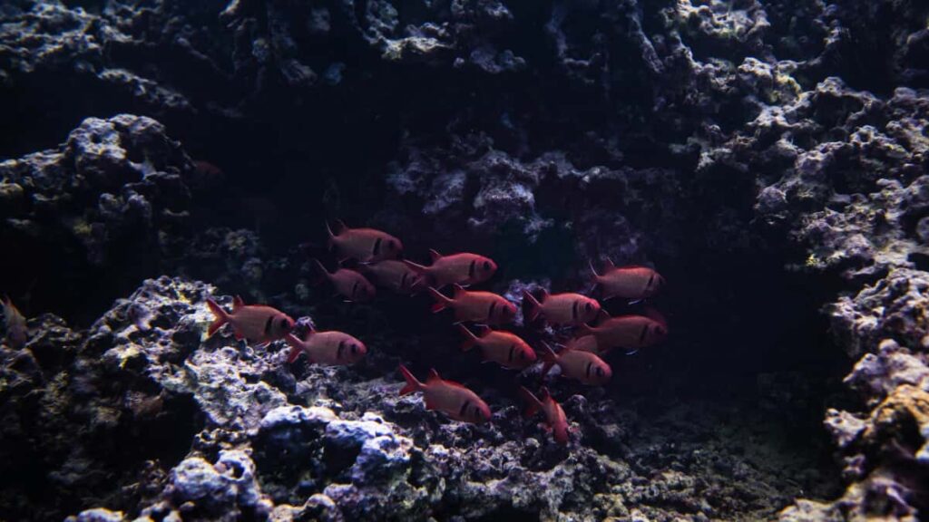 Estrategias practicas para que creadores en Espana contacten y atraigan a marcas de Panama en Pinterest y amplien su audiencia internacional.