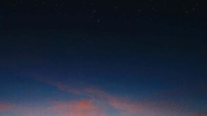 Guia practica para anunciantes en Espana sobre como localizar creadores iranies en eBay, negociar pagos fijos y minimizar riesgos operativos.