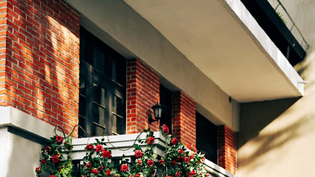 Guia practica para creadores en Espana: como localizar, contactar y negociar acuerdos de tarifa plana con marcas marroquies que venden en Amazon. Estrategias, plantillas y riesgos.