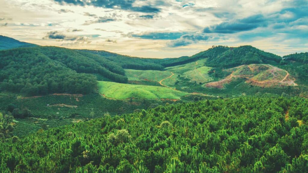 Guia practica para creadores en Espana: como contactar marcas de Azerbaiyan en ShareChat y conseguir conversiones con CTAs potentes.