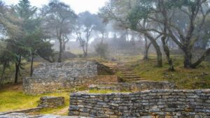 Guia practica para creadores en Espana: como conectar con marcas uruguayas en Moj y montar campanas de afiliados efectivas usando experiencias de fans y patrocinio.