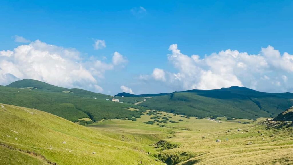 Guia practica para anunciantes en Espana: como localizar y contratar creadores de Georgia que promocionan contenido tipo Hulu y generan alto engagement.