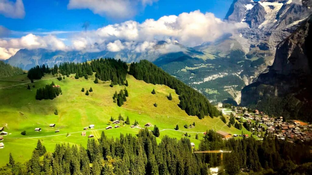 Guia practica para sellos y managers en Espana que buscan creadores checos en WhatsApp para lanzar promos de canciones: tacticas, plataformas y contactos.