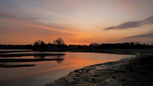 Guia practica para creadores en Espana: como localizar, pitchar y cerrar colaboraciones con marcas de Montenegro en TikTok para compartir codigos de descuento temporales.