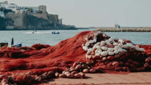 Guia practica para anunciantes en Espana: como localizar creadores lituanos en Douyin, conectar con top creators y lanzar lineas de producto conjuntas.