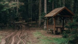 Guia practica para creadores en Espana: como identificar, contactar y cerrar colaboraciones con marcas montenegrinas en Facebook y monetizar tus canales.